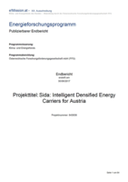 Cover of the final research report SIDecA.