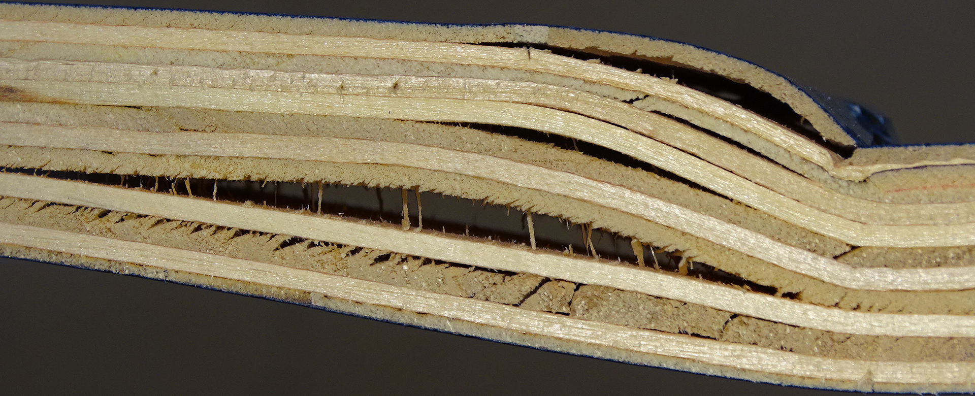Zerstörter Holzwerkstoff, bei dem sich im Zuge einer zerstörenden Prüfung die einzelnen Schichten gelöst haben.