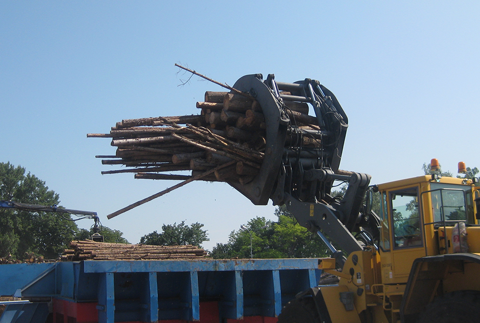 Ein gelber Bagger bewegt mit seiner Greifzange Stämme unterschiedlicher Dimension.