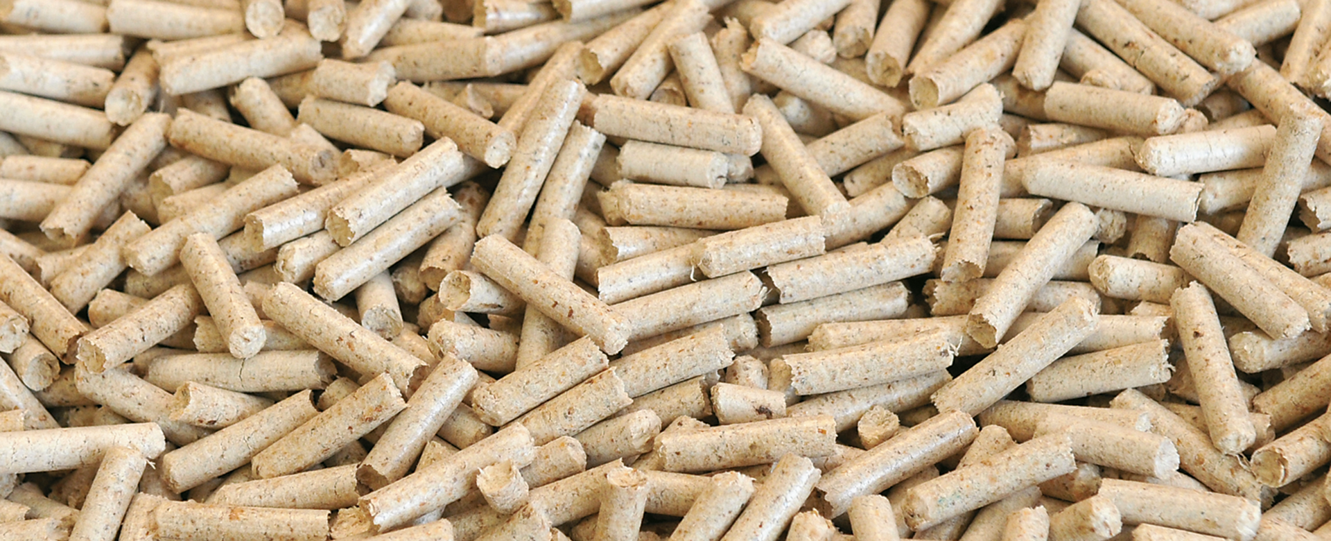 Aufgehäufte Pellets aus Holz.