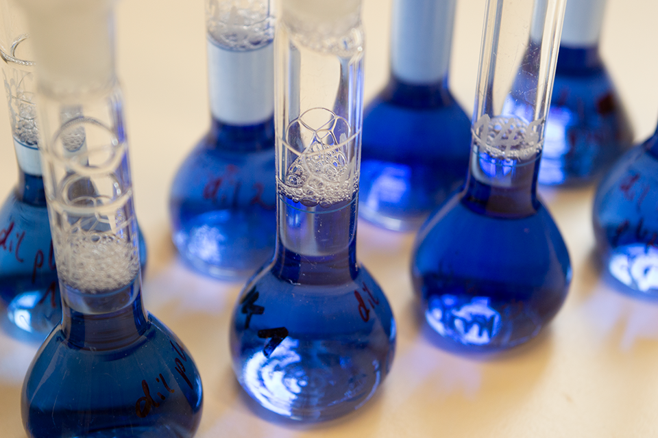 Mehrere Rundkolben mit leuchtend blauer Flüssigkeit sind regelmäßig zweireihig angeordnet.