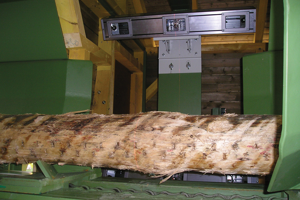 Rundholz im Scanner.