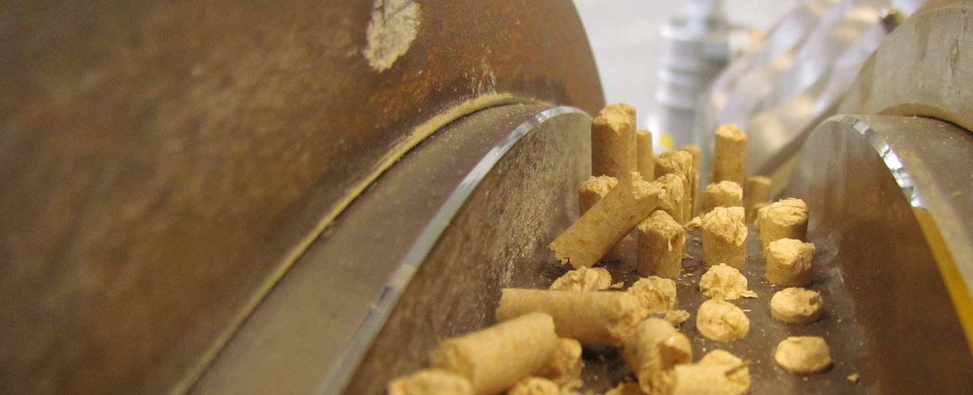 Cut-out of a ring die press used to produce straight pellets.