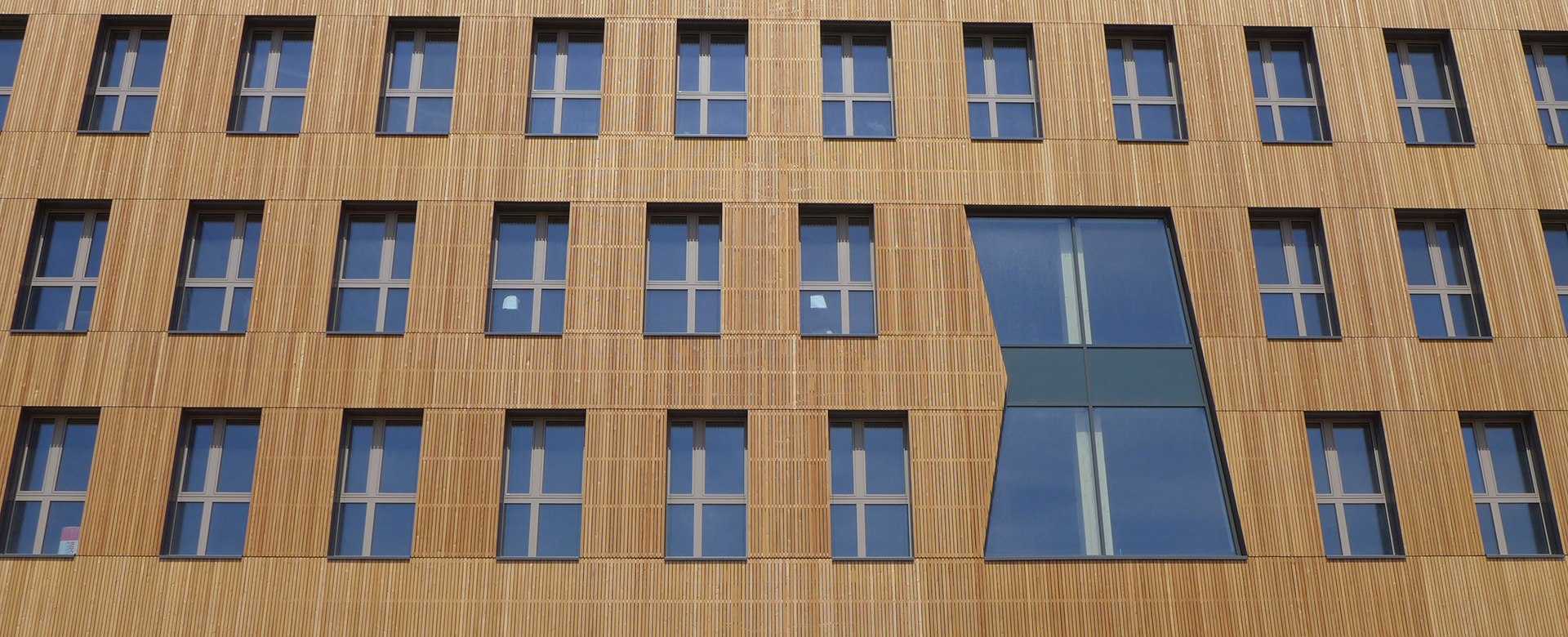 Window-structured wooden façade of the timber high-rise in Vienna's Seestadt.