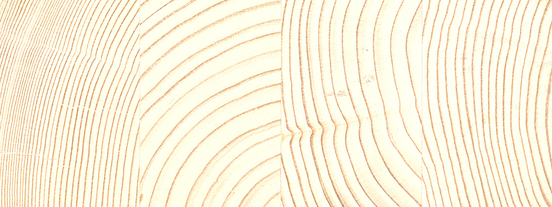 Cross-section of glulam.