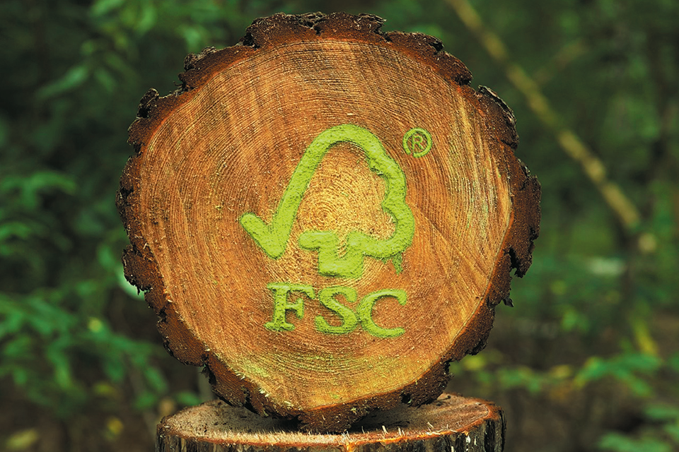 FSC-Logo in grüner Farebn auf einem Baumstammquerschitt.