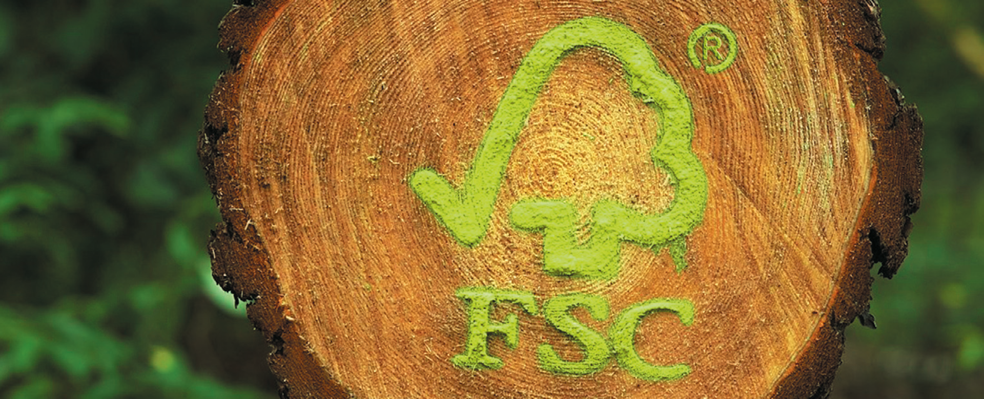 FSC-Logo in grüner Farebn auf einem Baumstammquerschitt.